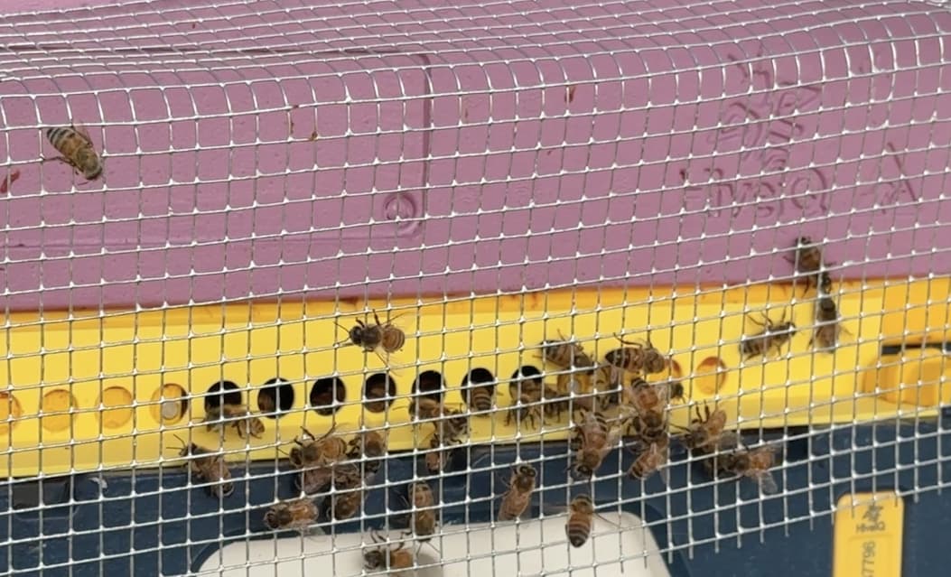 The Numbers Are Down - IronHive Co LLC
