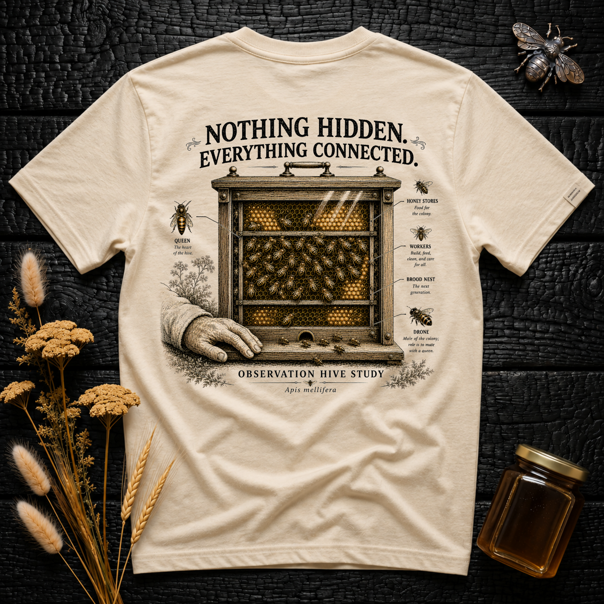 Nothing Hidden