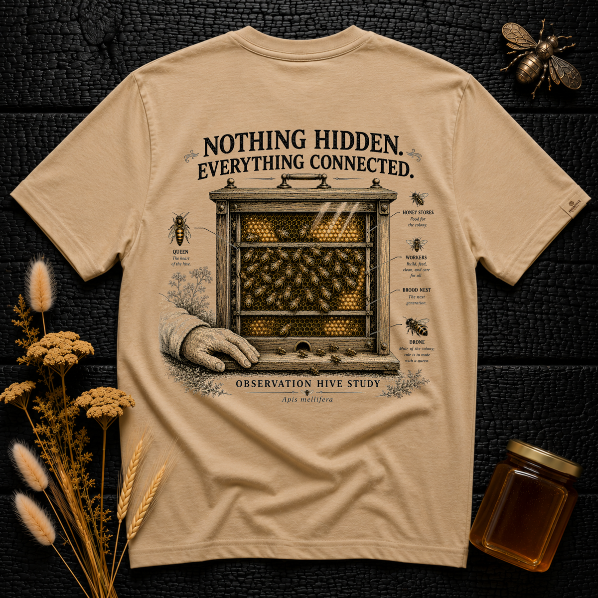 Nothing Hidden