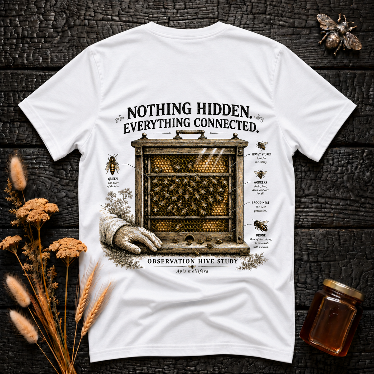 Nothing Hidden