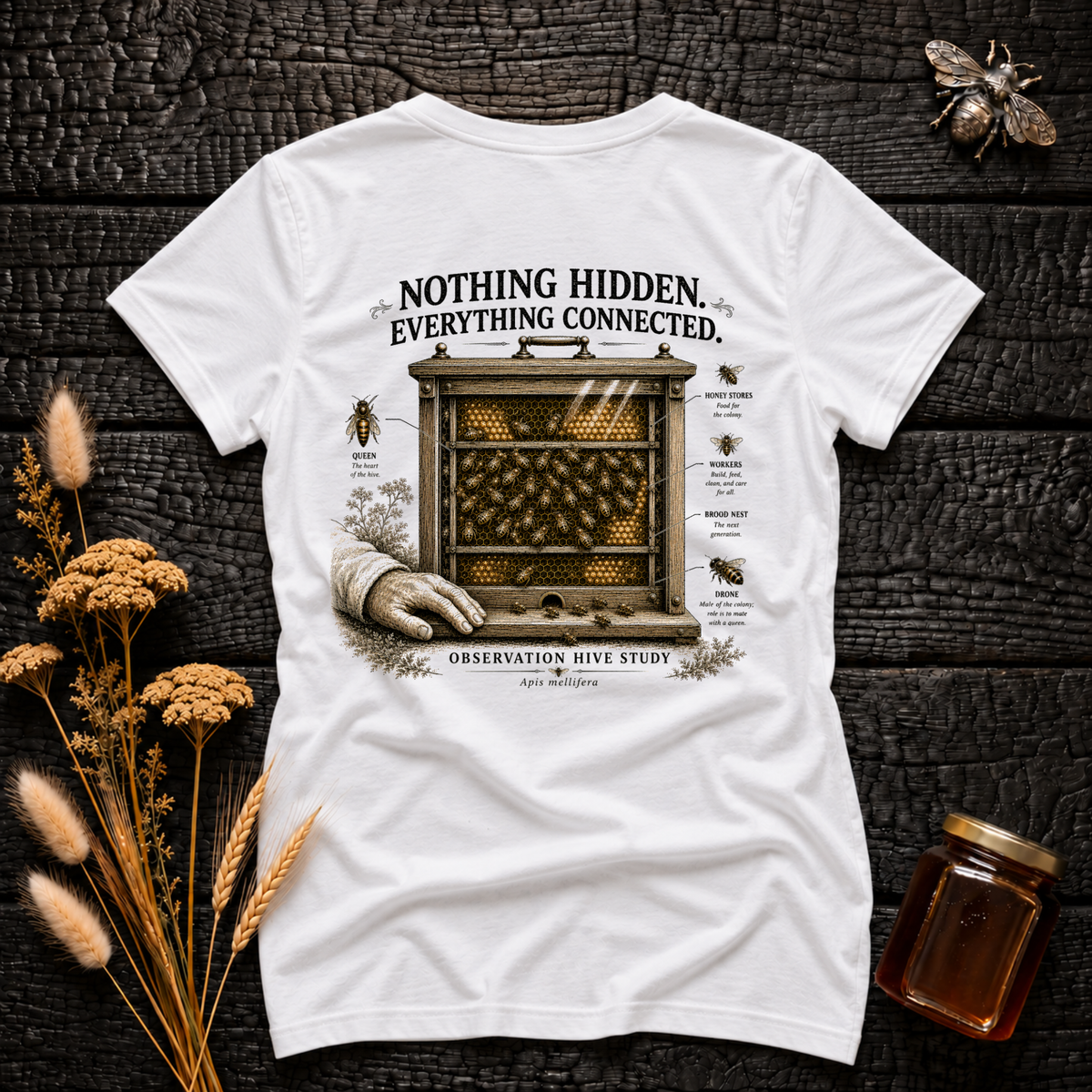 Nothing Hidden